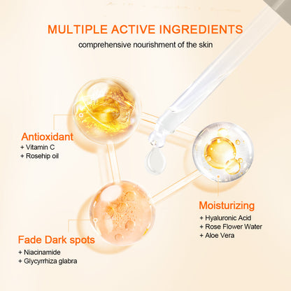 Illustrazione che mostra gli ingredienti attivi di Neutriherbs Vitamin C + Hyaluronic Acid Serum. La vitamina C e l’olio di rosa canina offrono protezione antiossidante, l’acido ialuronico, l’acqua di rose e l’aloe vera idratano la pelle, mentre la niacinamide e la radice di liquirizia contribuiscono a ridurre le macchie pigmentarie e a donare un tono della pelle più uniforme.